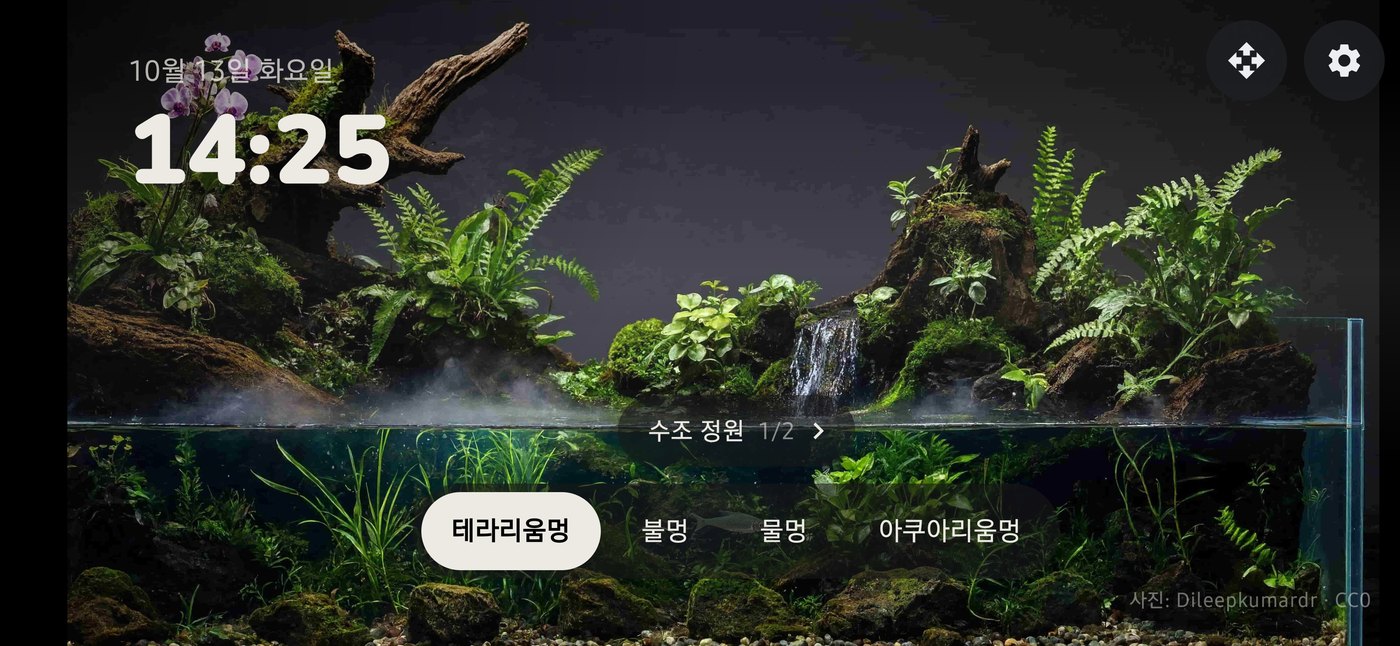 아쿠아리움